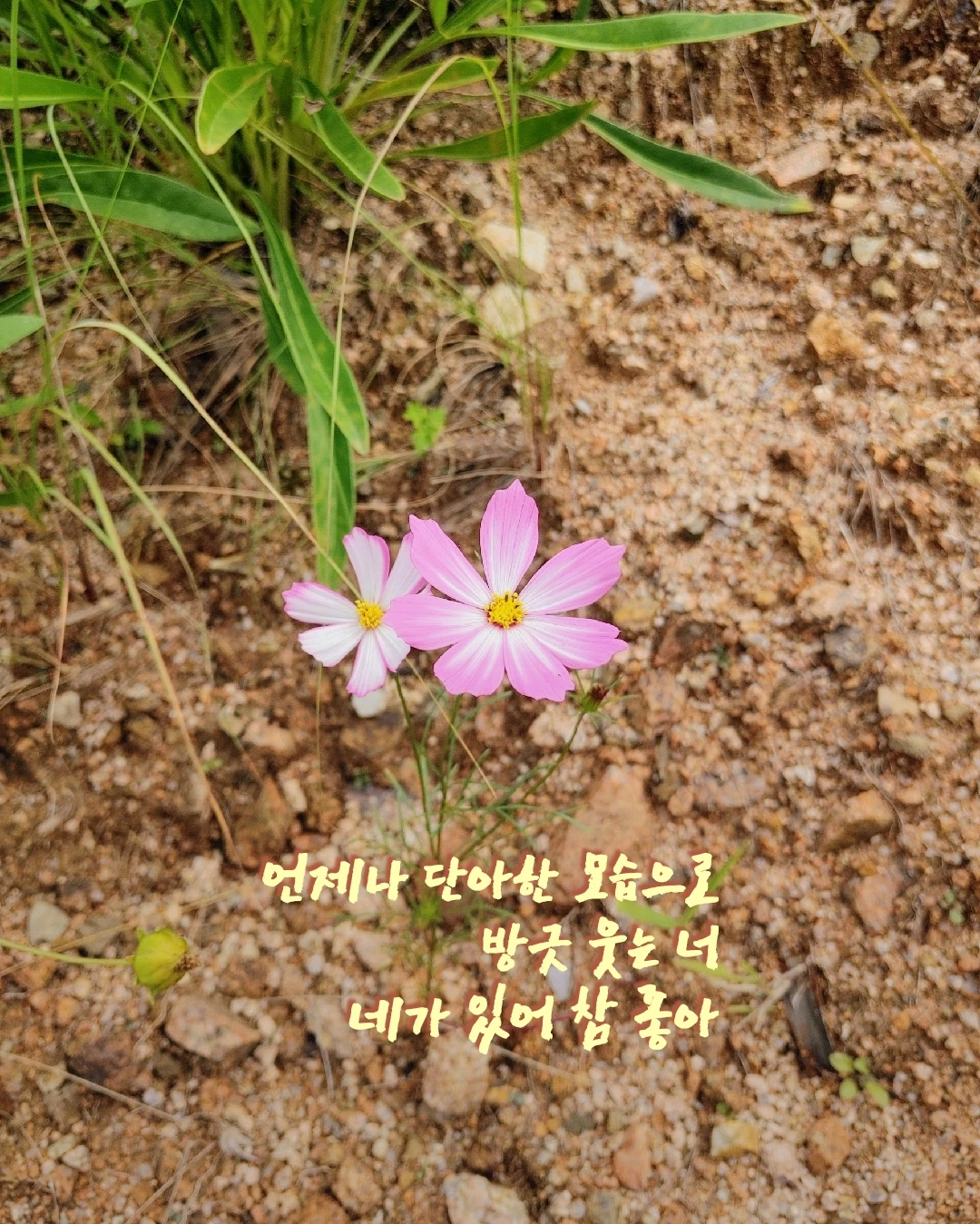 네가 있어 참 좋아