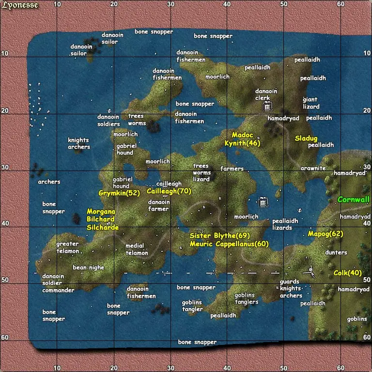 MMORPG의 지도