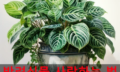 죽어가던 반려식물 살리다! 라우람, 내 친구 웹소설