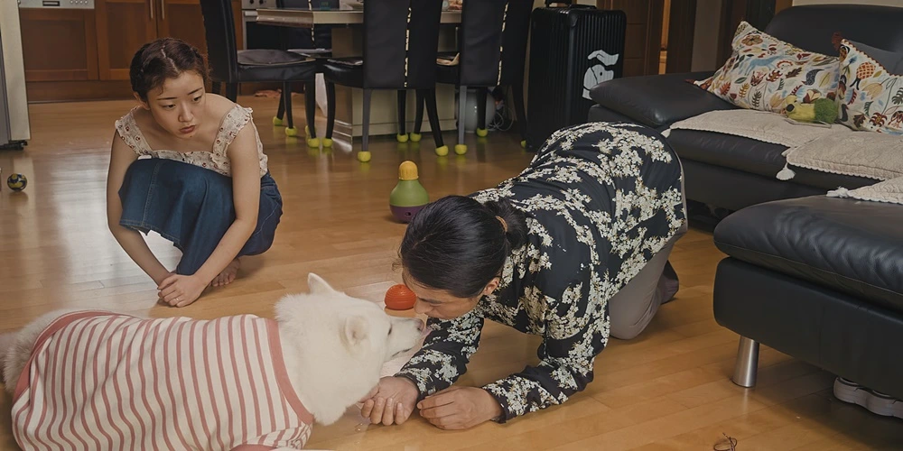 영.계.한.