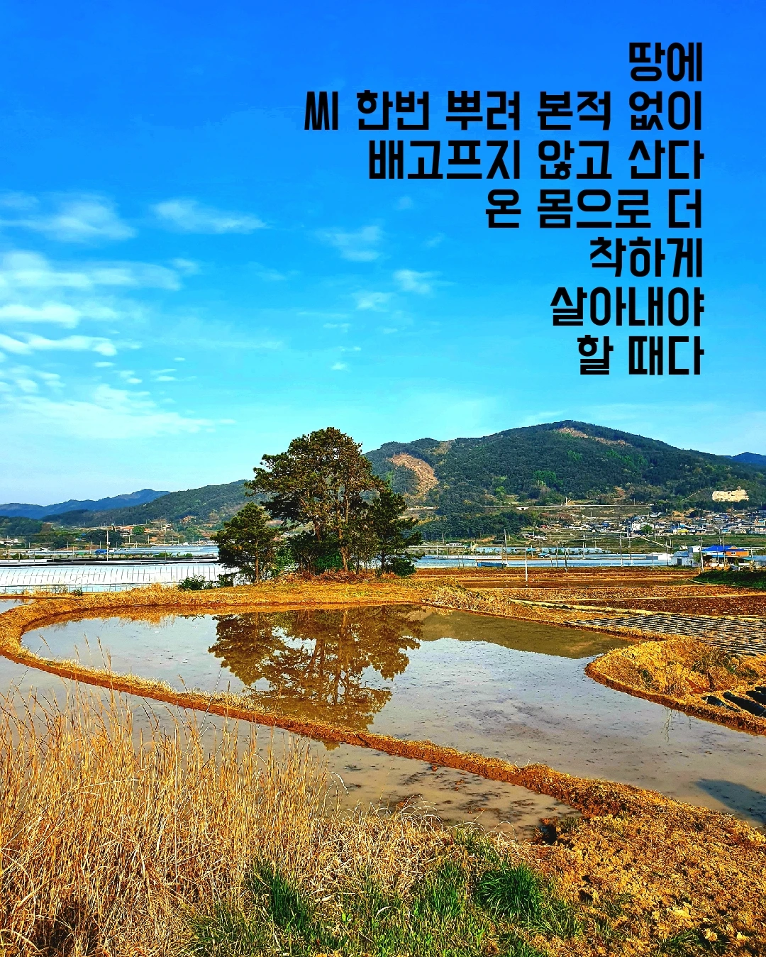 하늘 아래 글 한 줄