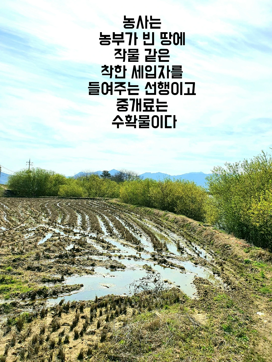 하늘 아래 글 한 줄
