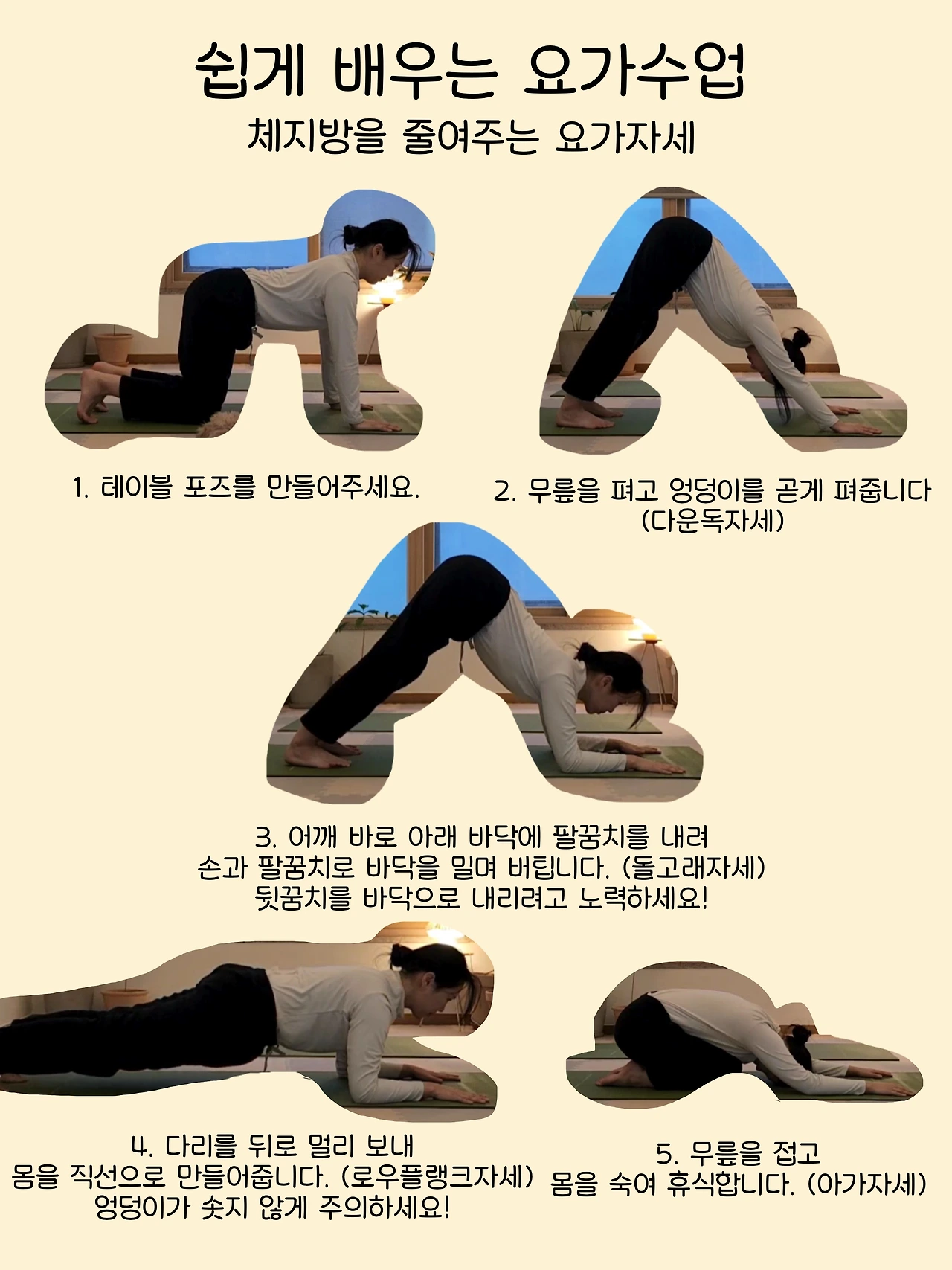 20화 체지방을 줄이는 요가자세를 알아보자