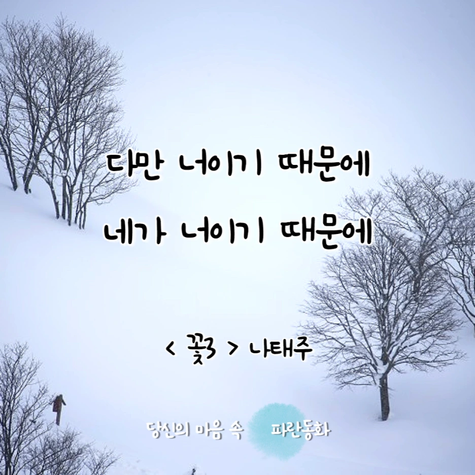 꽃3/ 나태주/ 네가 너이기 때문에