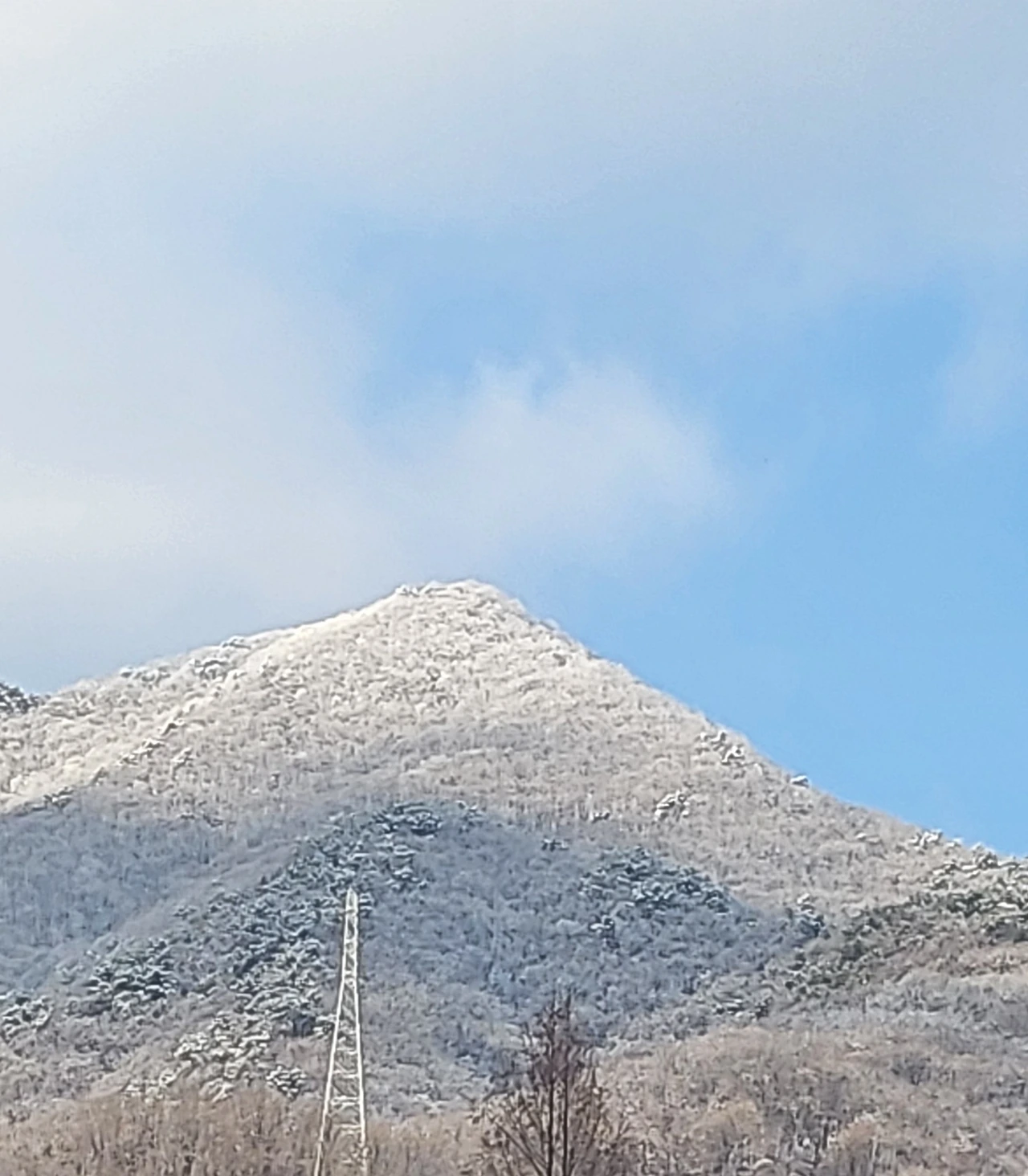 겨울 햇볕 쬐기