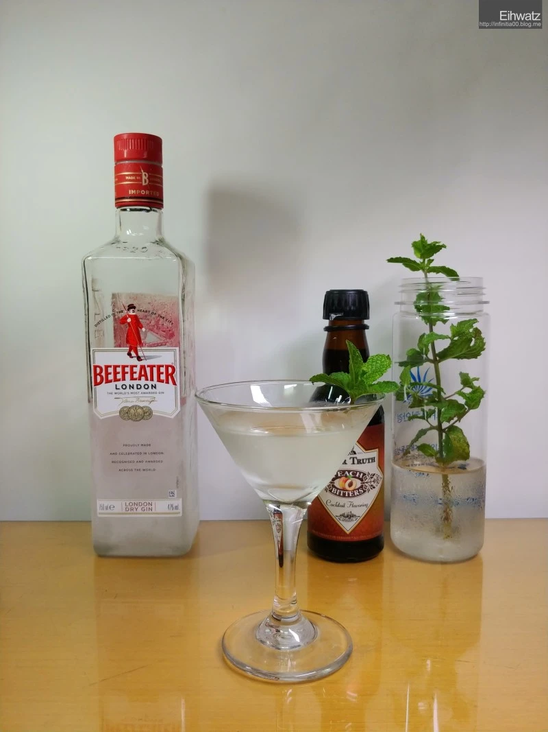 진(Gin)을 베이스로 한 칵테일 - 2