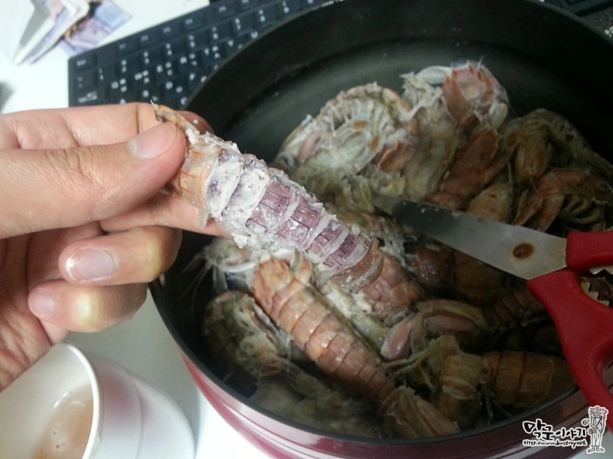 4월 5월의 봄에 먹는 제철 해산물 갯가재