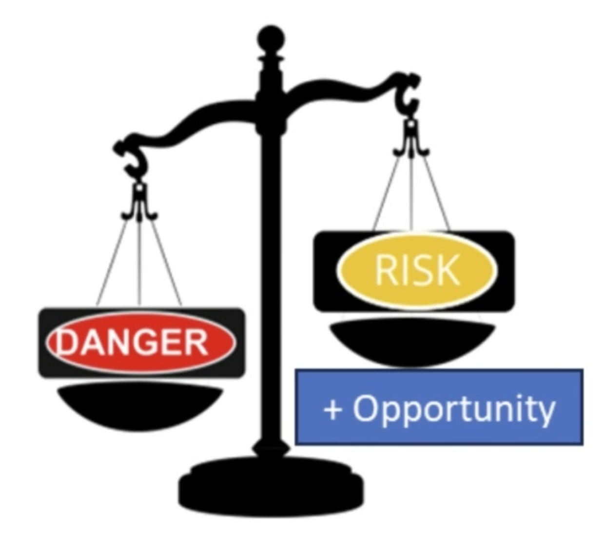 Risk VS Danger