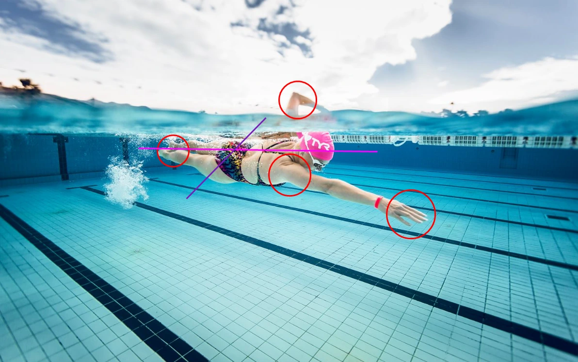 TI수영(Total Immersion Swim)이란