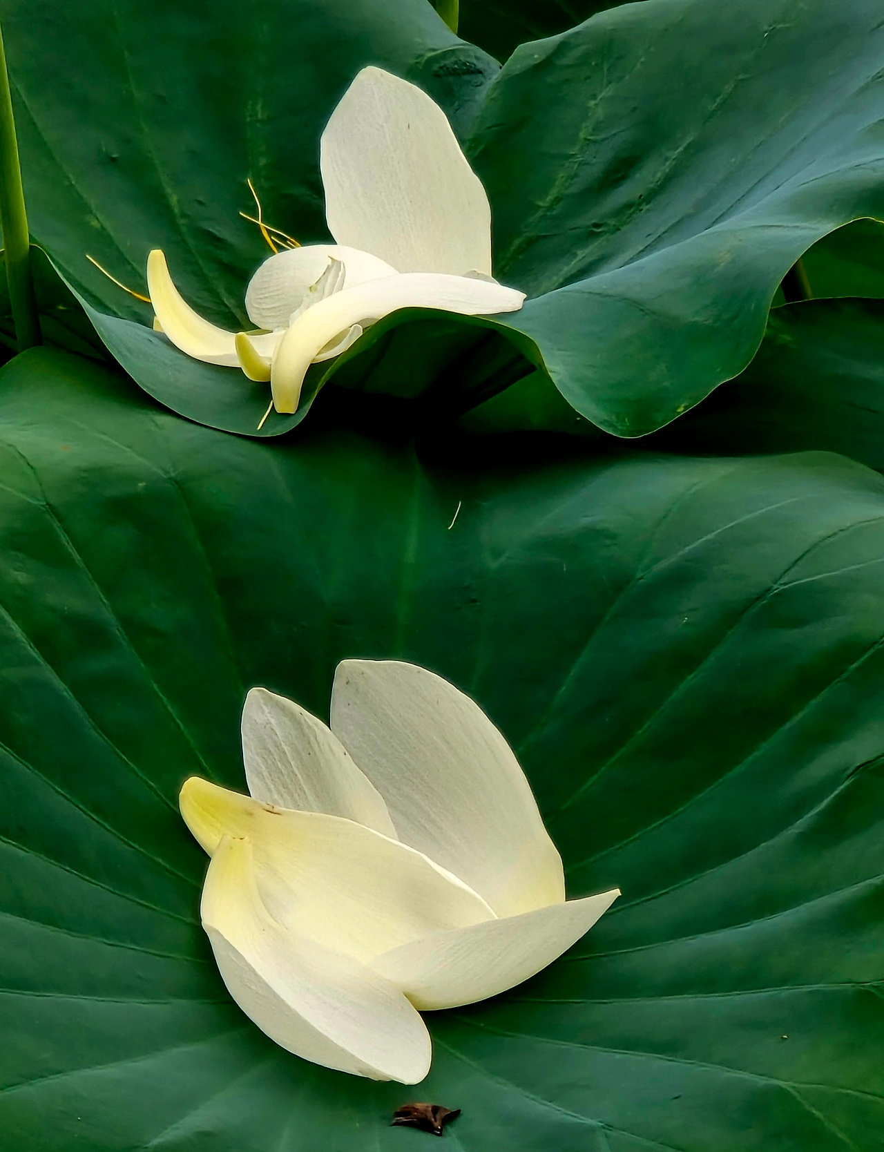 07화 우리는 각자 다른 행성에서 온 투자자들