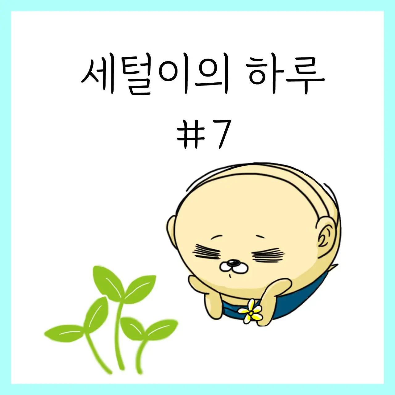 세털이의 하루 #7