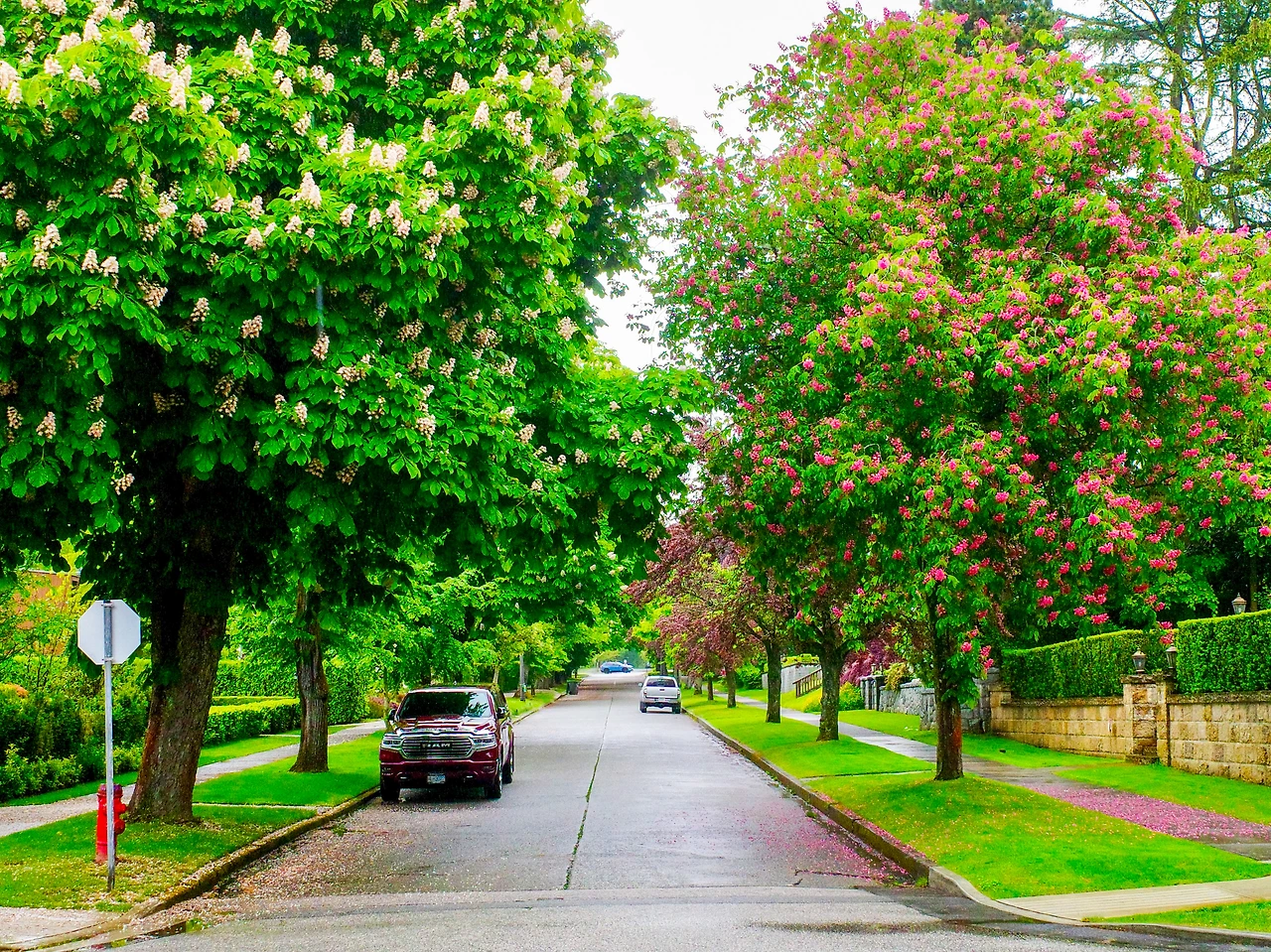 A Rainy Morning in May