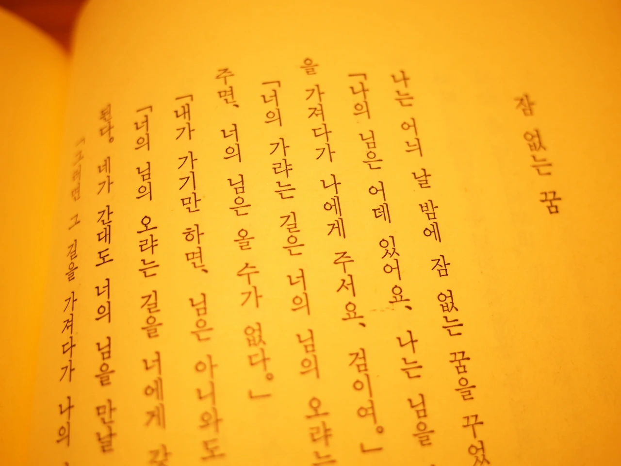 나의 단상.