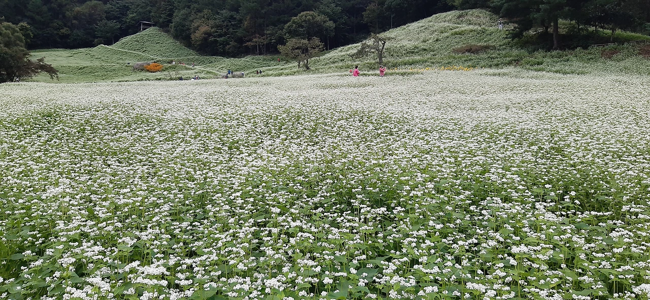 16화 잣대