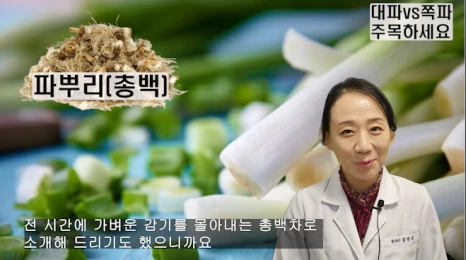 대파vs쪽파.이렇게 활용하세요(+주의사항)