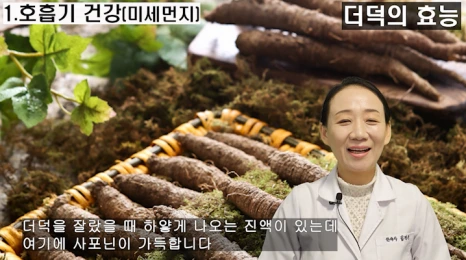 1월의 보약은 더덕입니다
