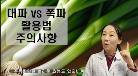 대파vs쪽파.이렇게 활용하세요(+주의사항)