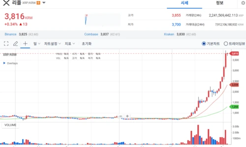? 딱 1개 알트코인에 60억을 투자한 사람