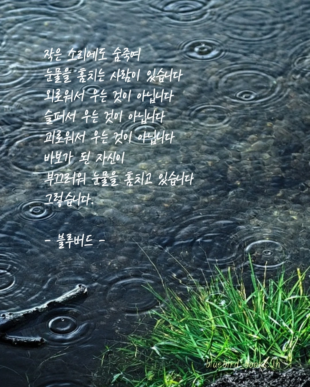 15화 슬픔