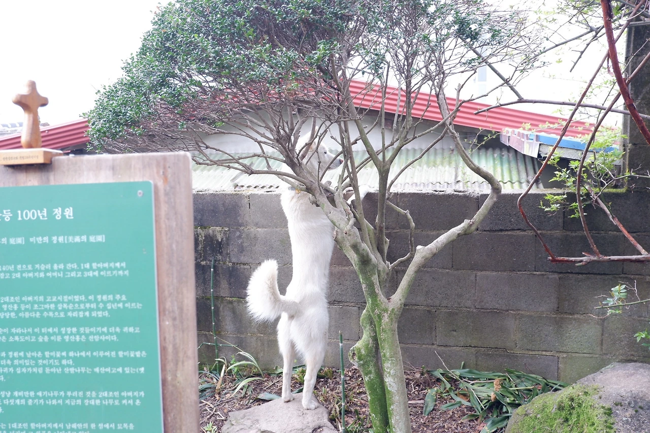 집에 짓는 시 – 순천시 개방정원 방문기