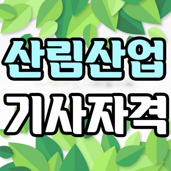산림산업기사 응시자격부터 맞추고 진로 알아보자