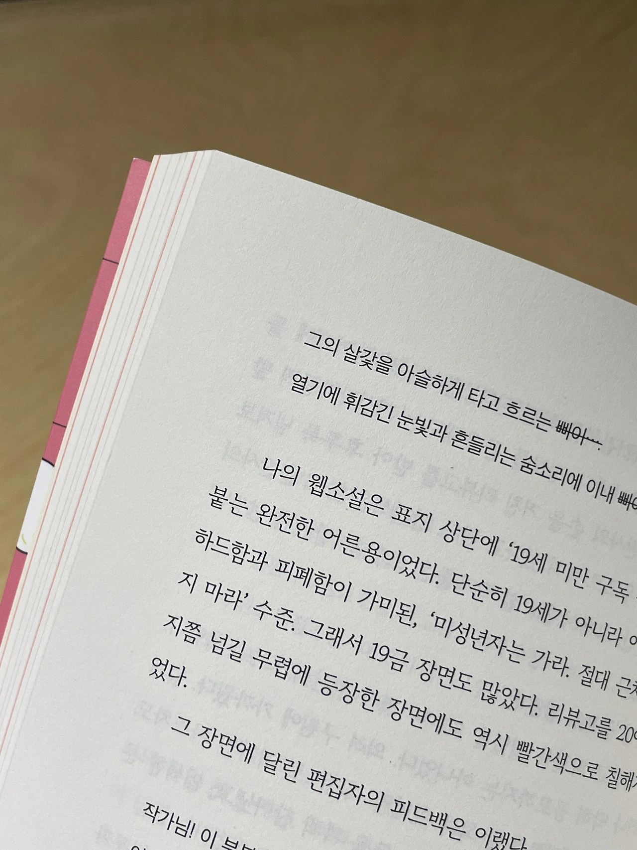 15화 웹소설 19금 장면에 달린 편집자님의 피드백