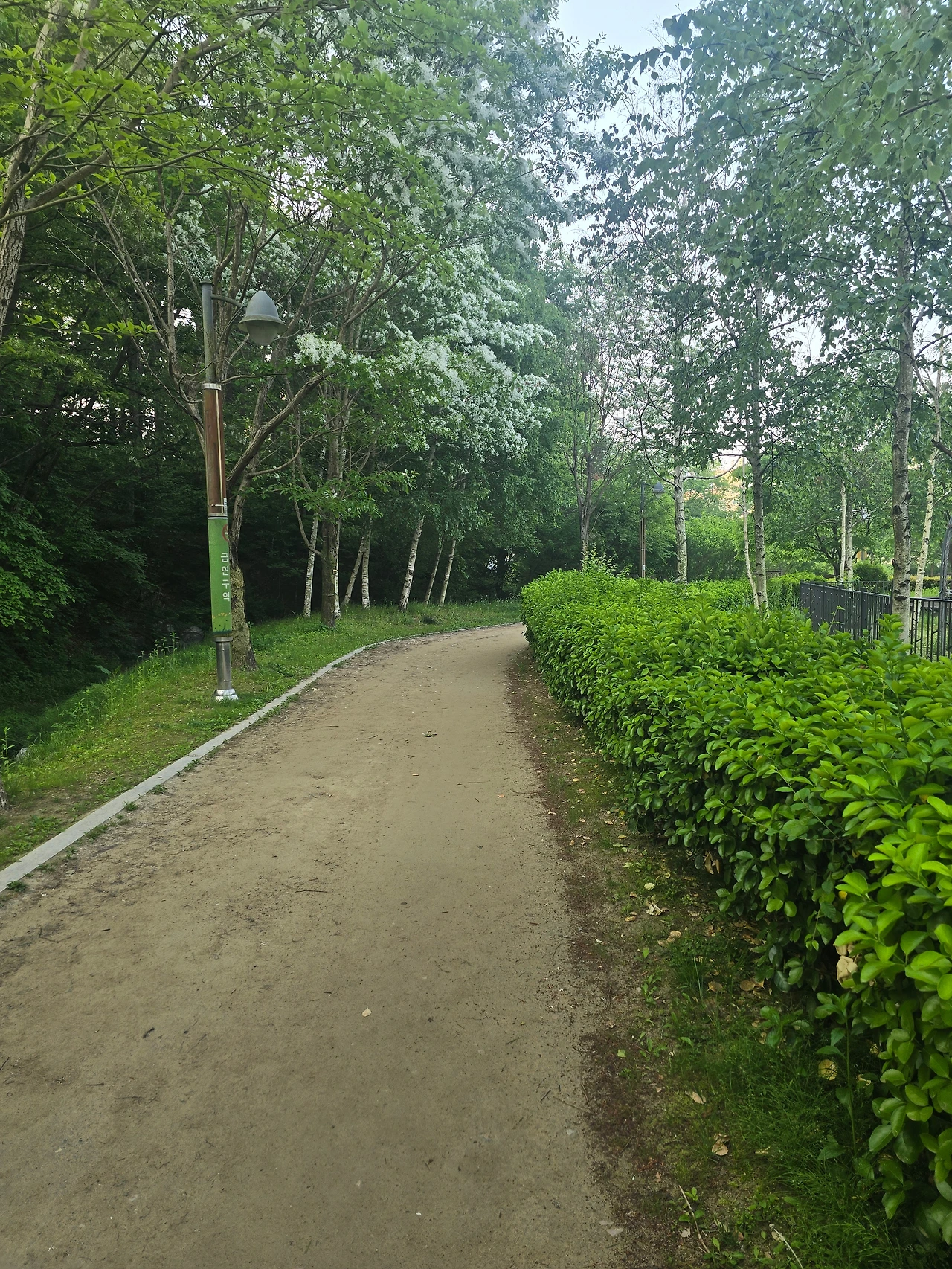 길 위의 거울
