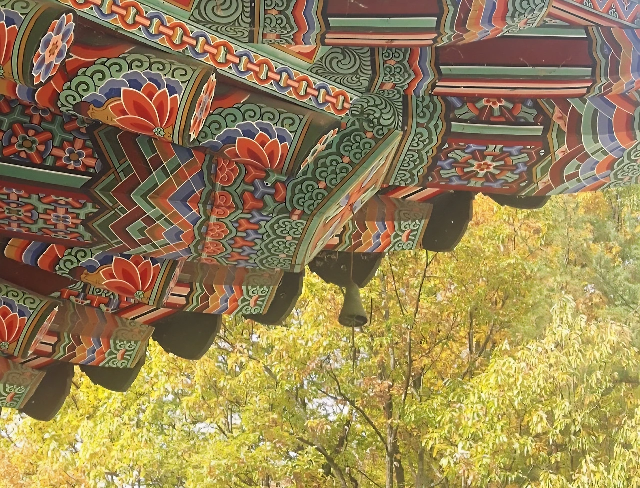 17화 단풍