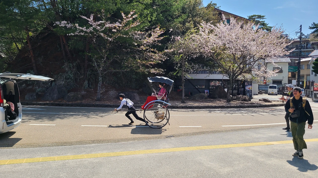 일본 Day 2-1, 미야지마 오토리이