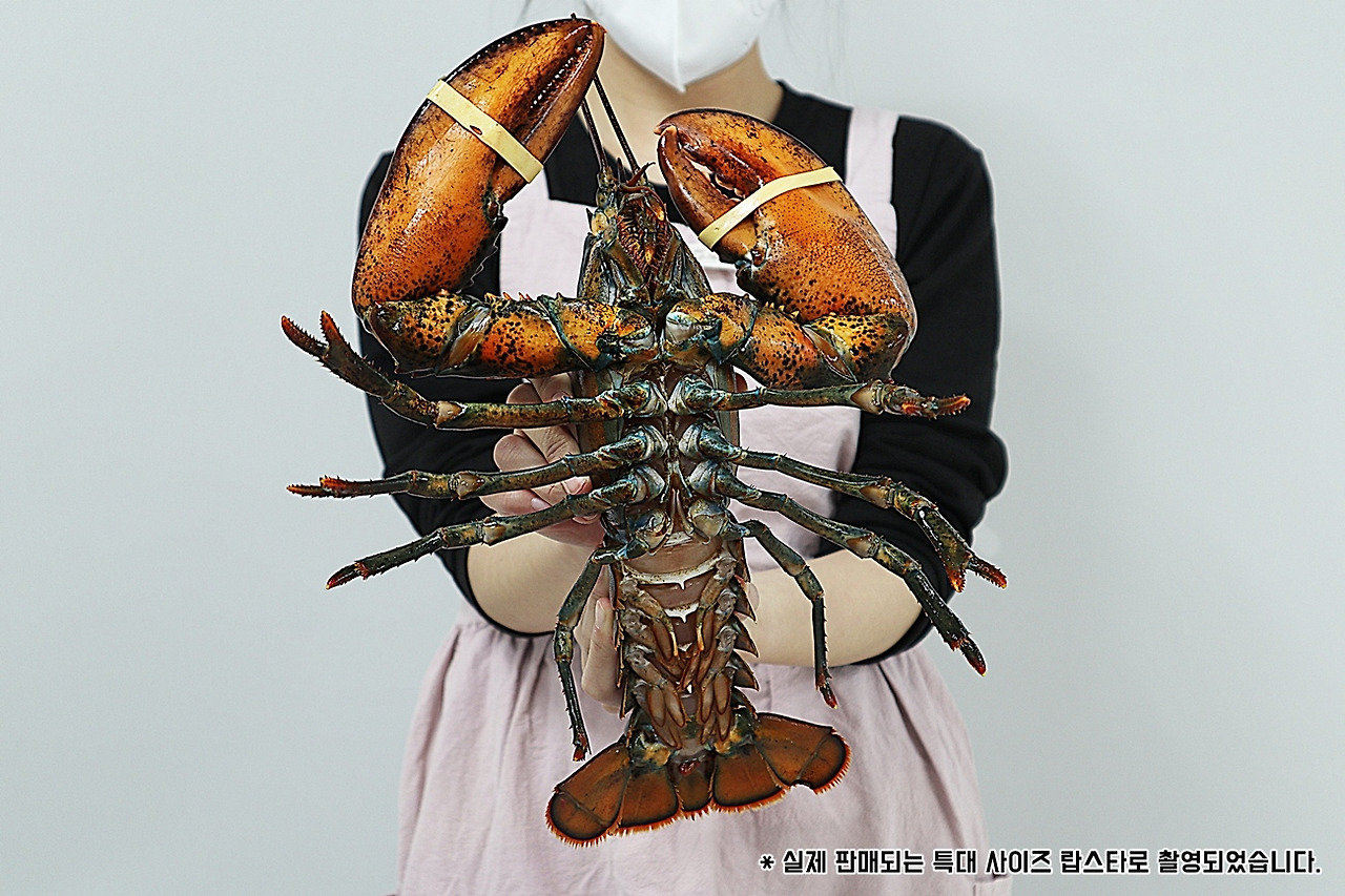 상품상세