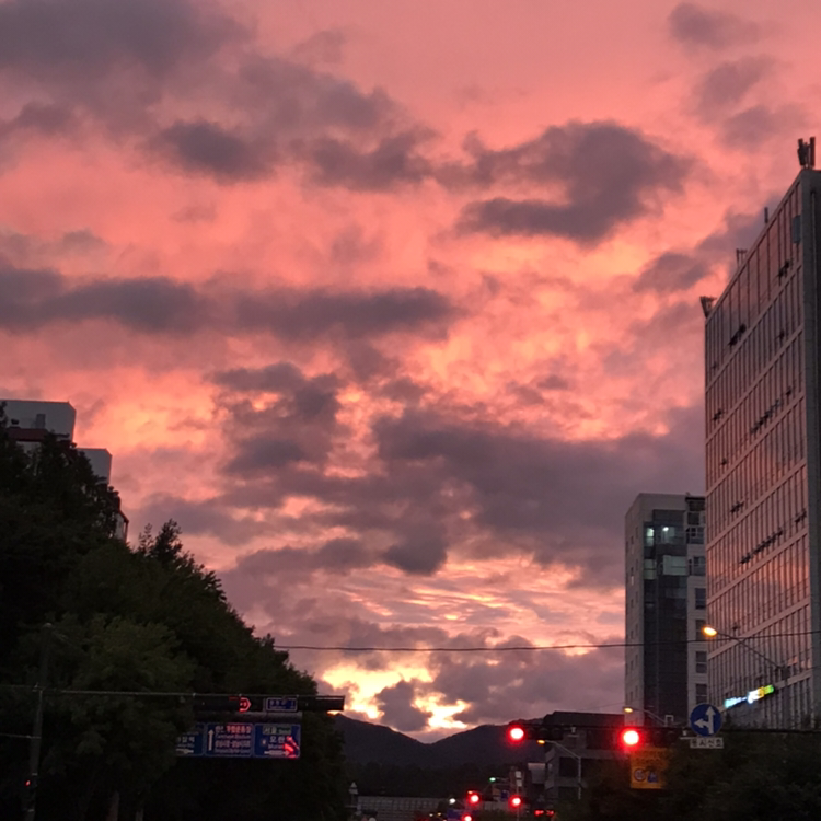 애플서비스센터