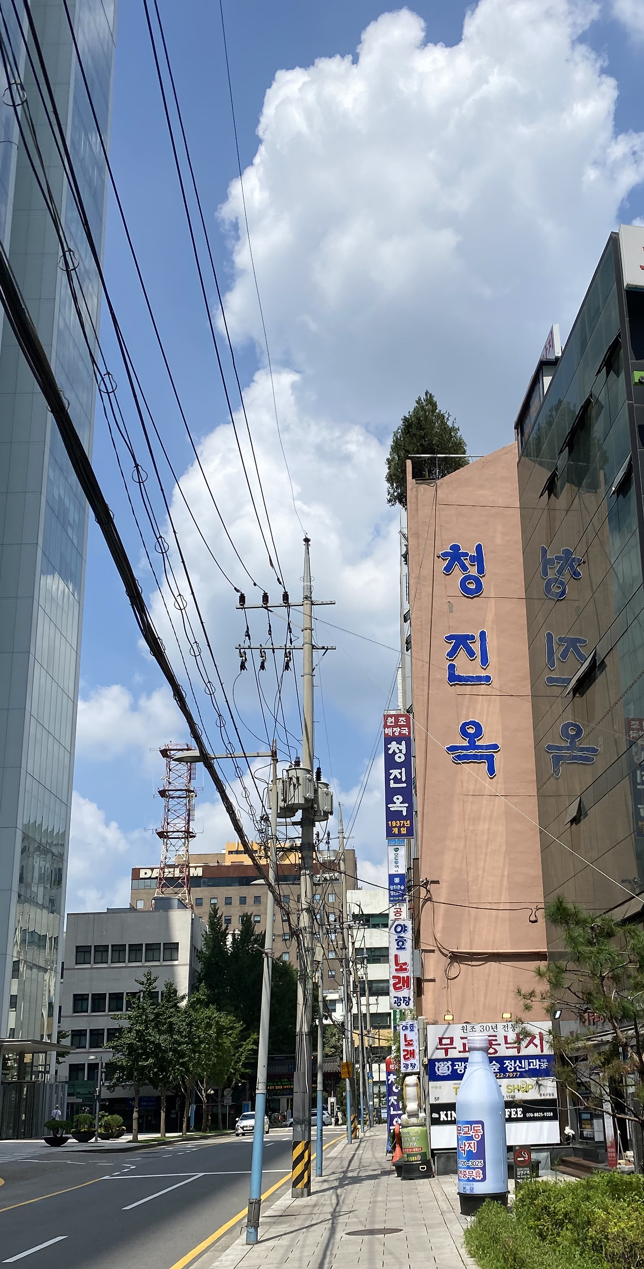 단순함이 최고의 맛 - 청진옥