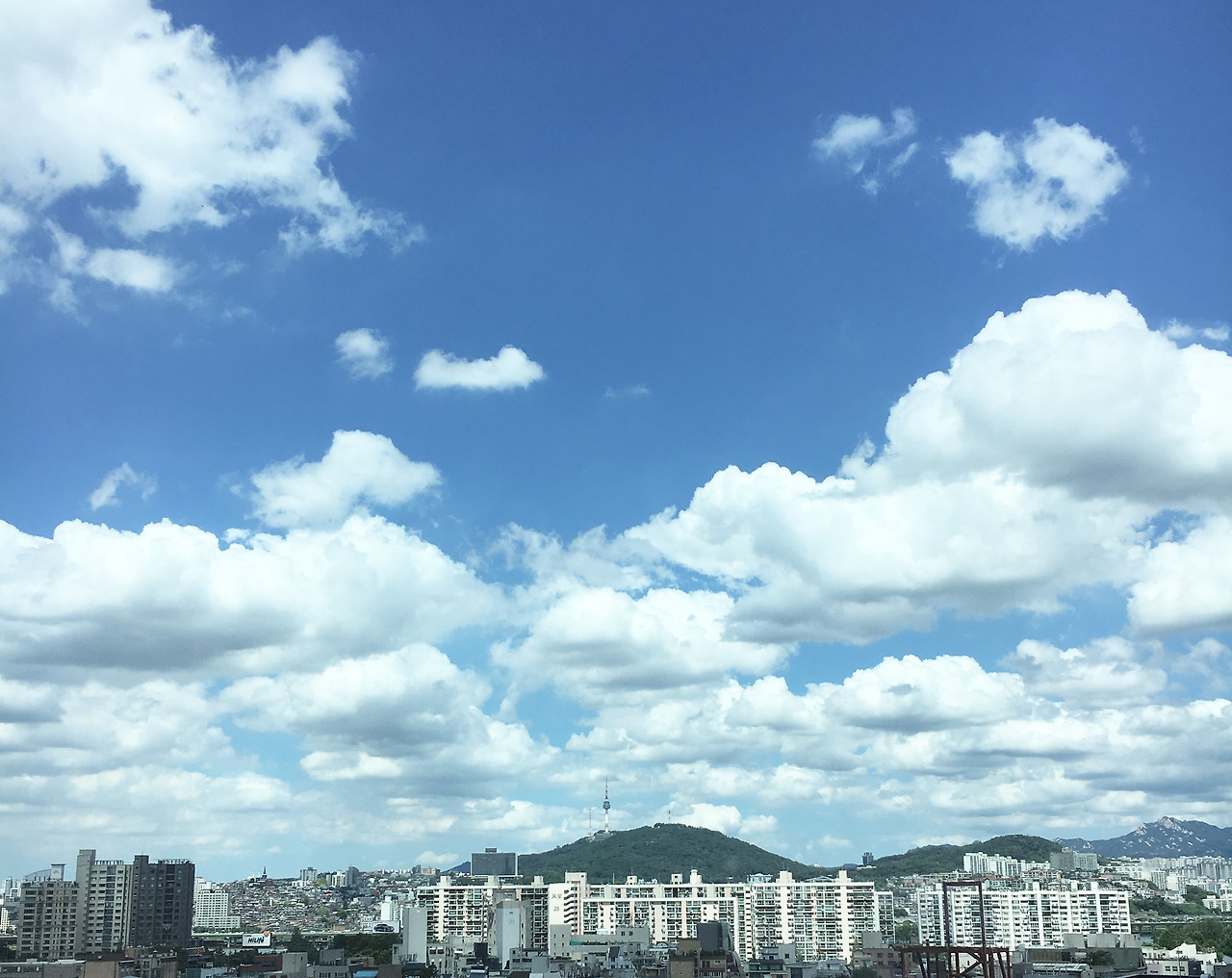 맑은 날의 우울