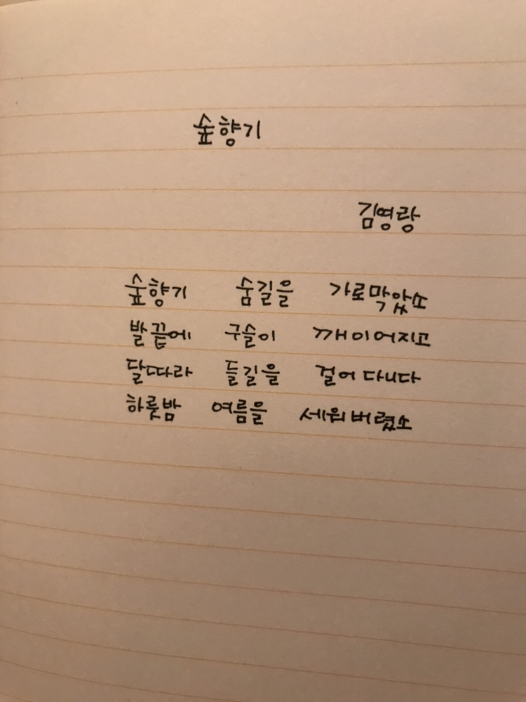 숲향기