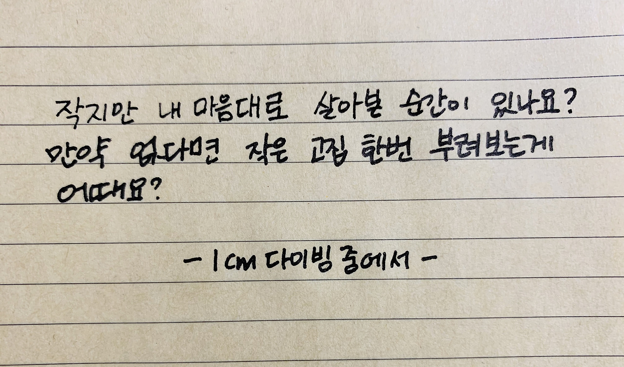 무료 카지노 게임
