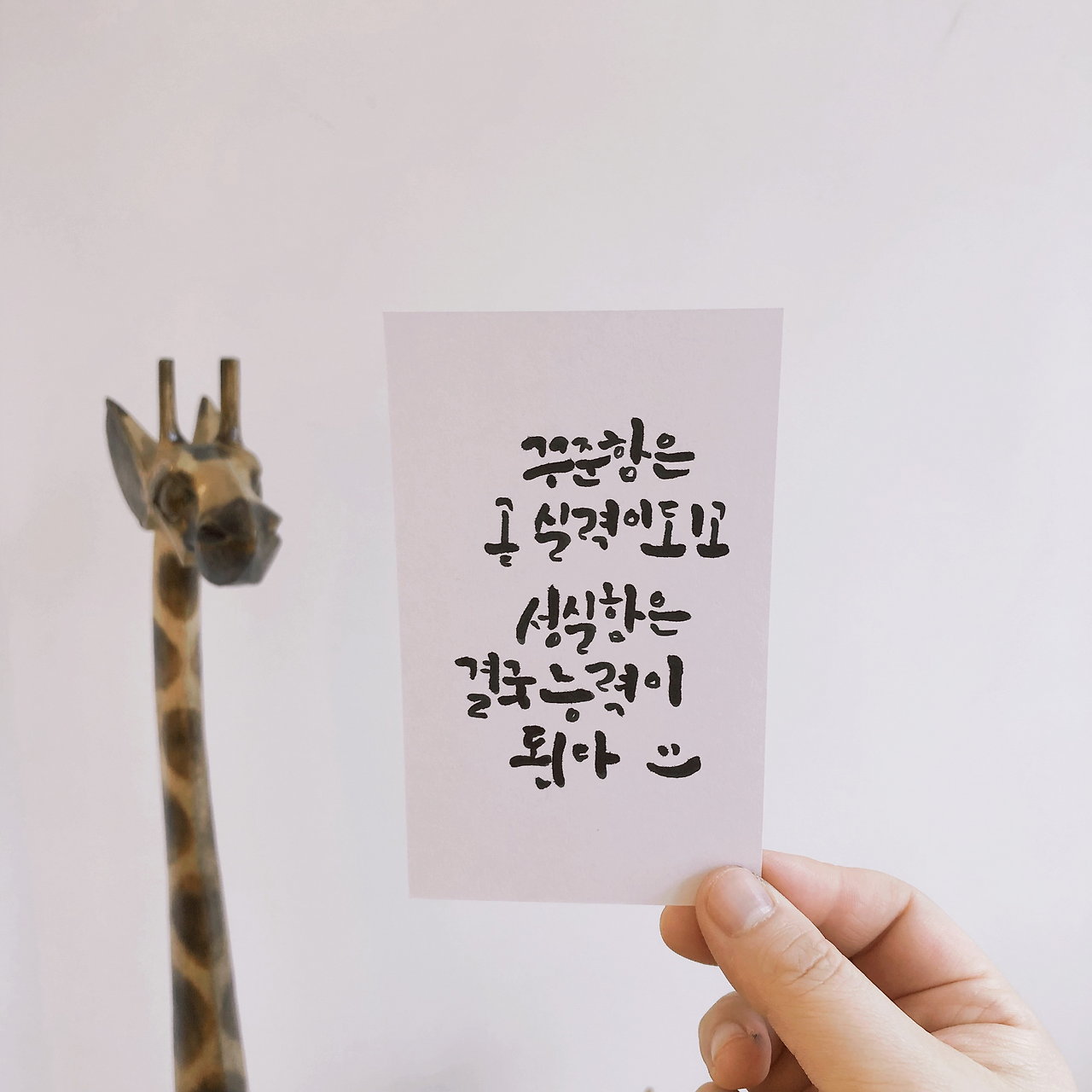 작은 바램