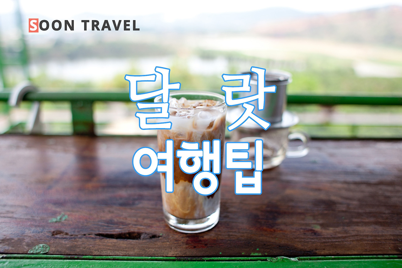 더운 여름 달랏으로 떠나자!