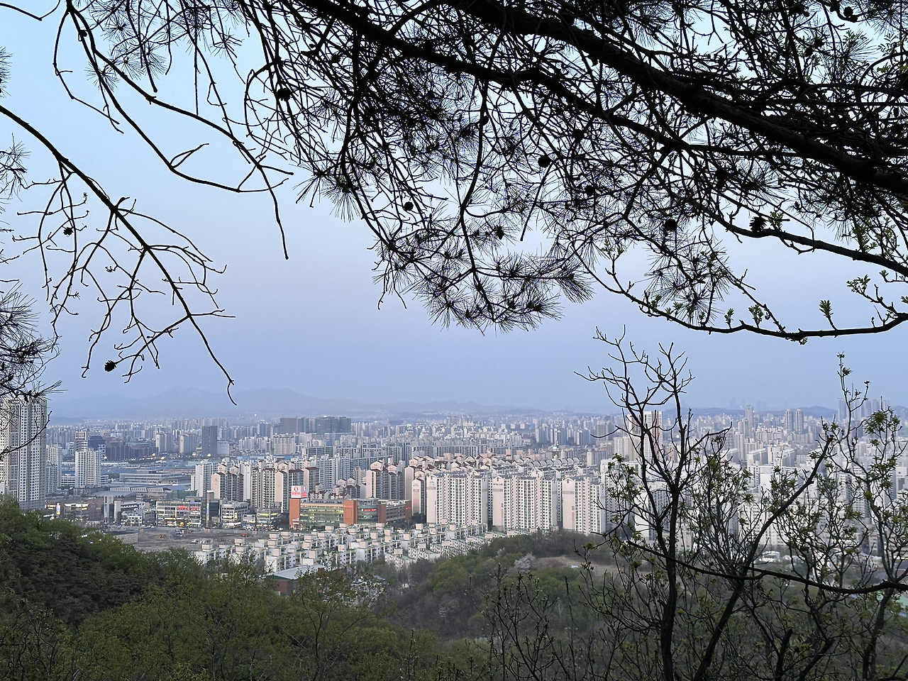 카지노 가입 쿠폰
