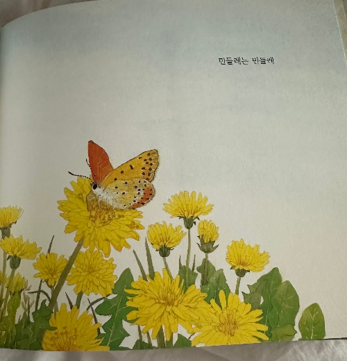 카지노 게임 사이트