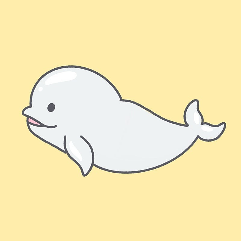 카지노 게임 사이트