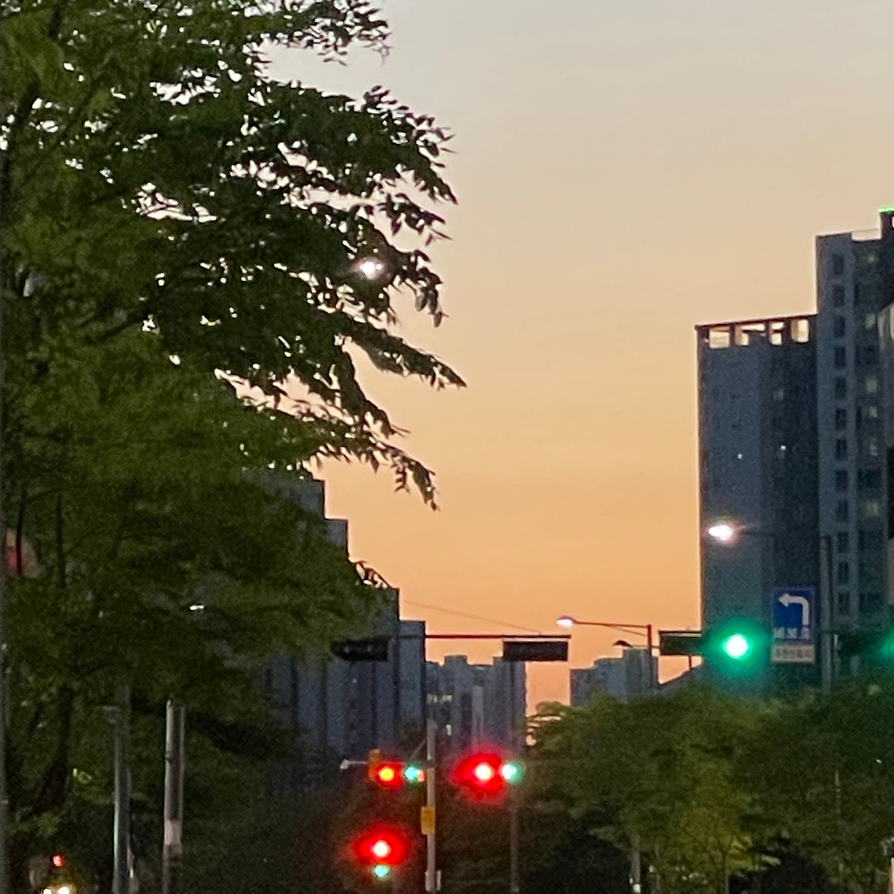 카지노 가입 쿠폰