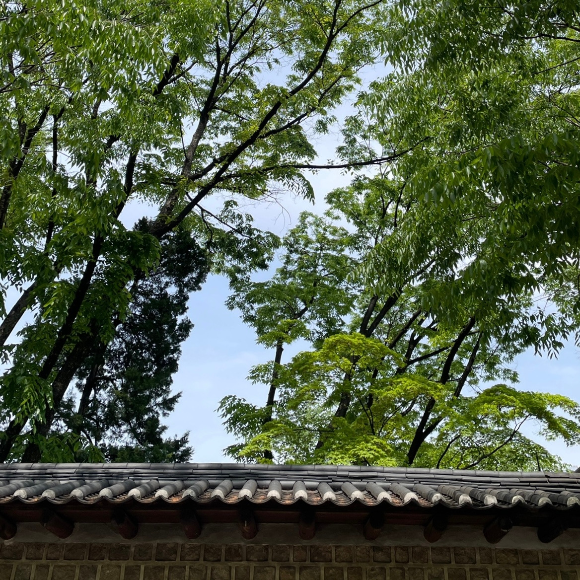 카지노 쿠폰