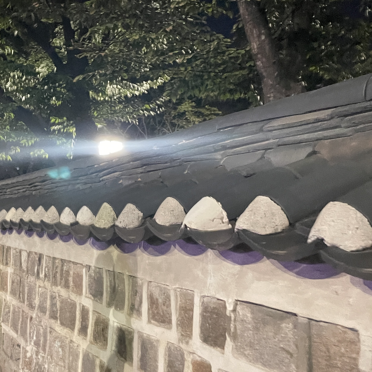 늘상