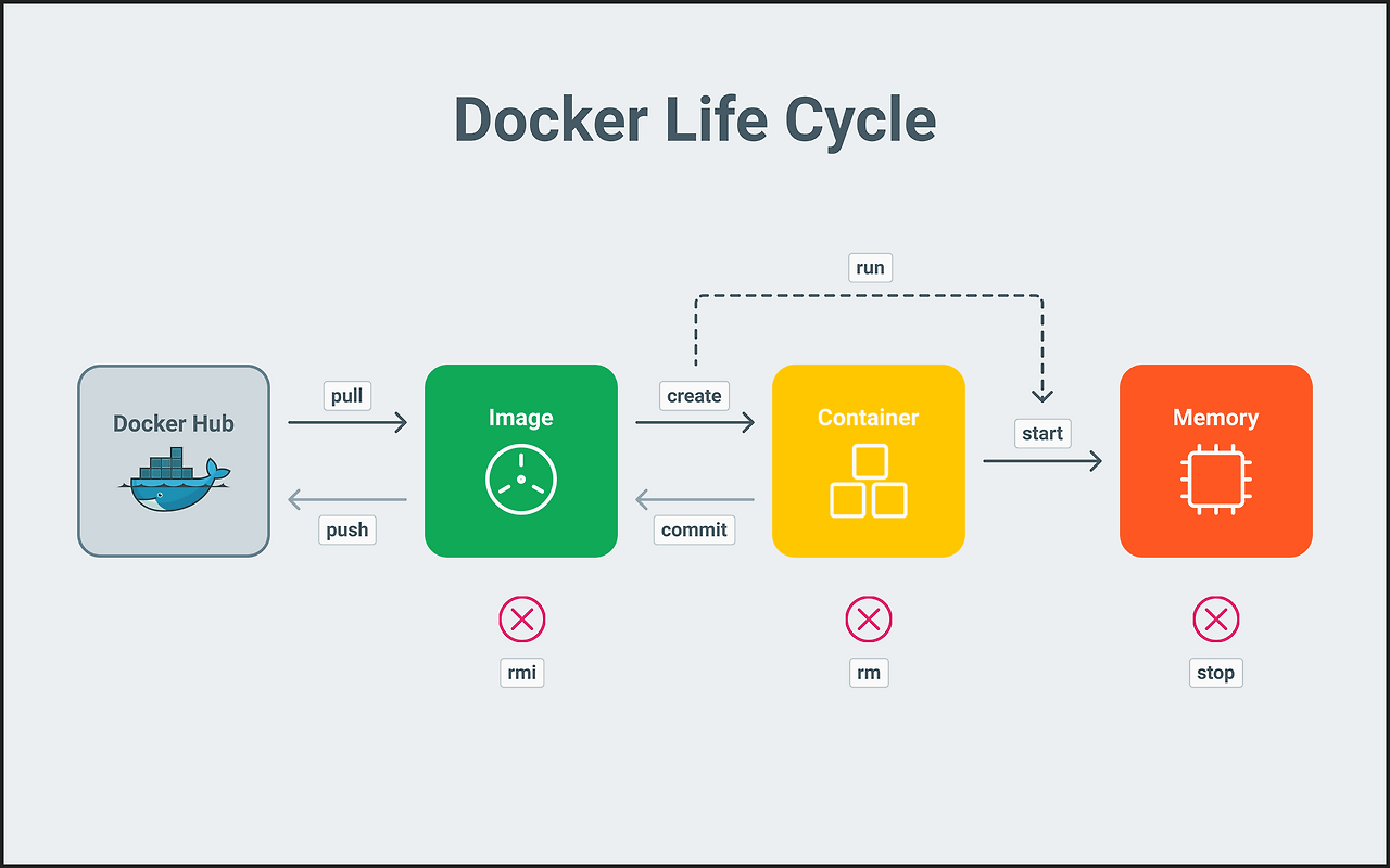 Docker Life Cycle
