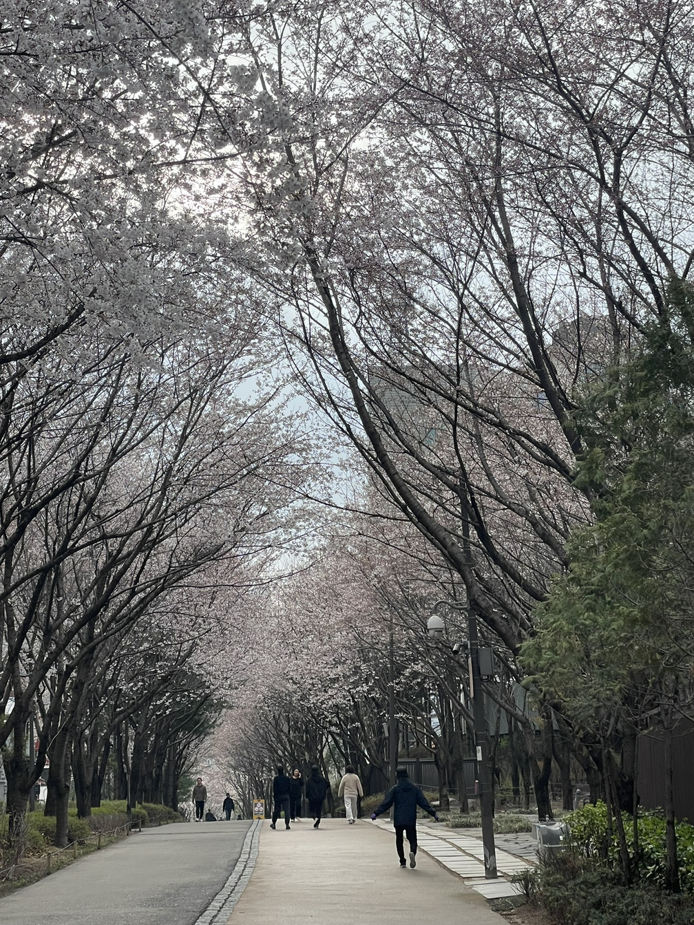 카지노 쿠폰