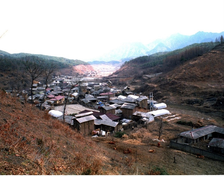 카지노 게임
