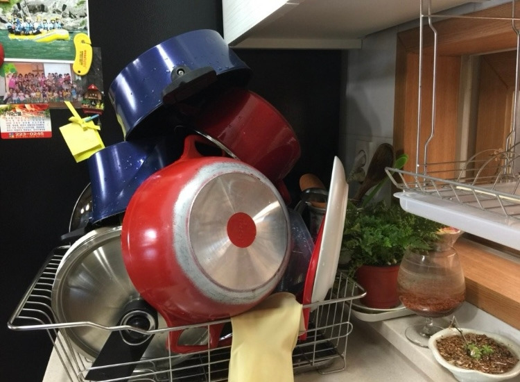 카지노 게임 사이트