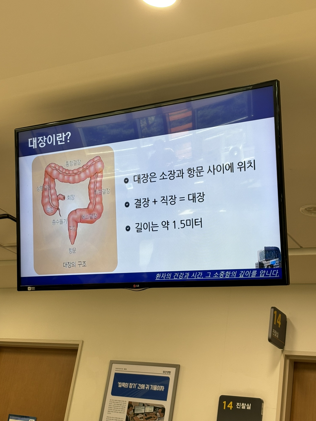 카지노 게임 추천