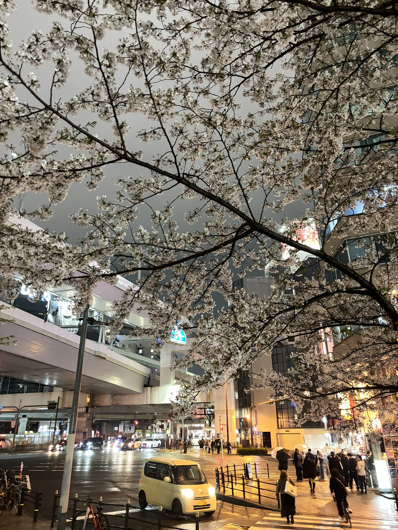 카지노 게임 사이트