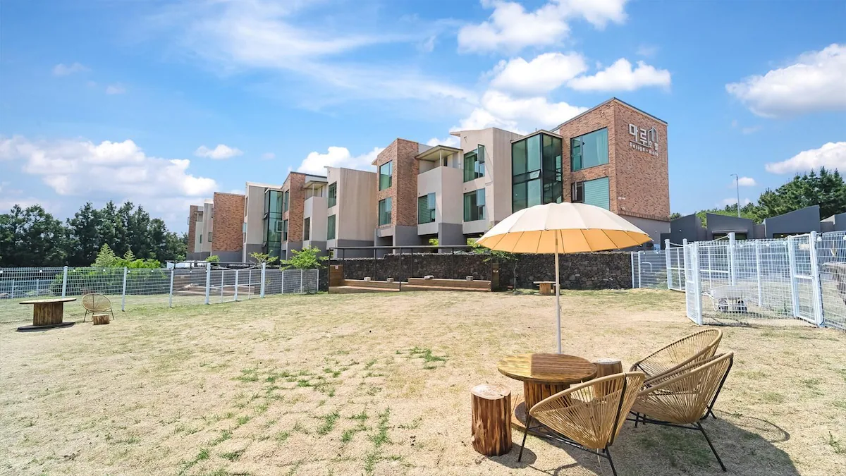 제주 애견동반 호텔 3, 반려견과 함께하는 제주 호캉스